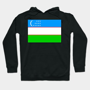 Uzbekistan flag Hoodie